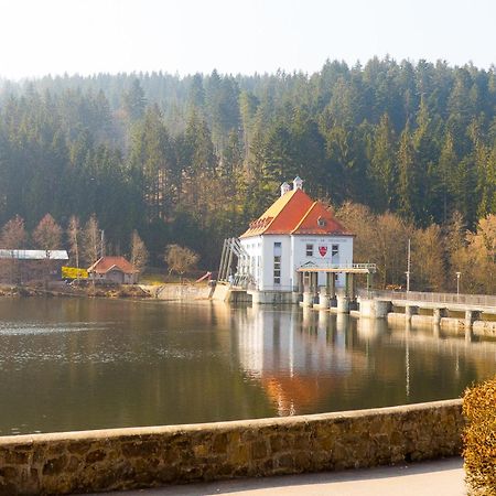 Ferienhaus Nr 15, Typ A, Feriendorf Jaegerpark, Bayerischer Wald Viechtach Exteriér fotografie